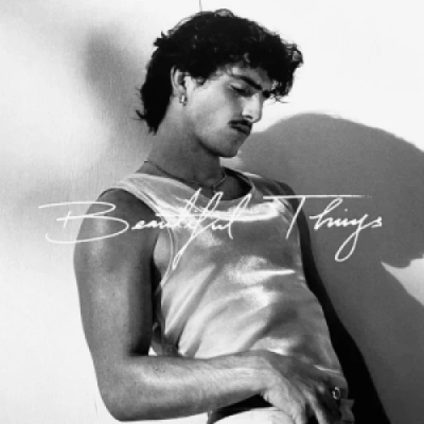 Capa do Álbum