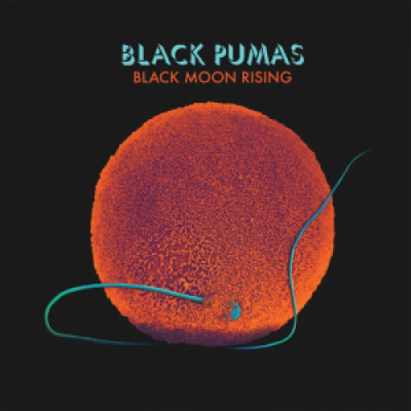Capa do Álbum