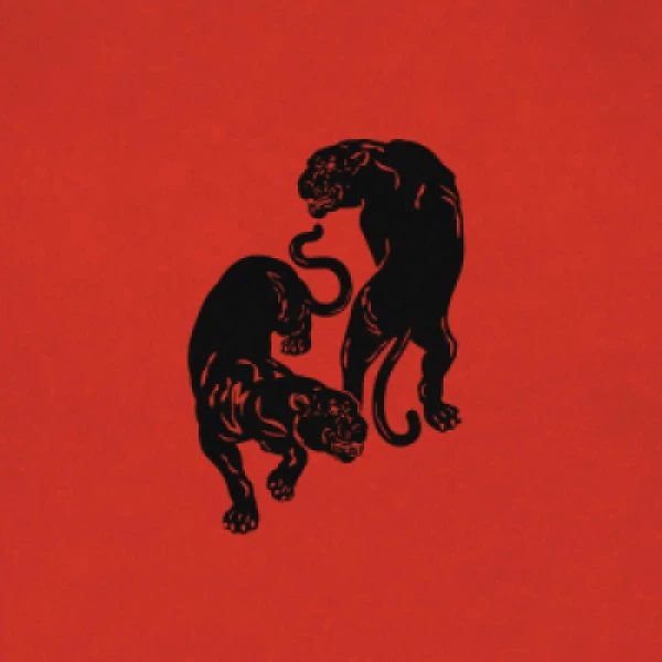 Capa do Álbum