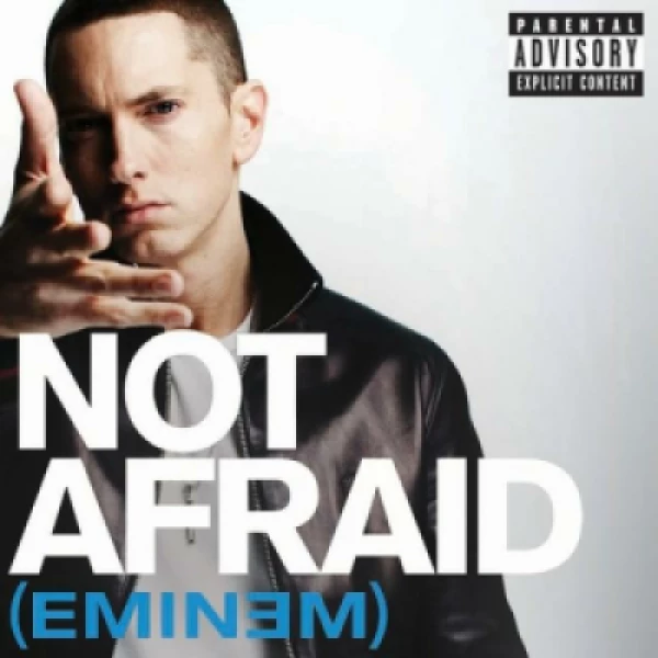Capa do Álbum