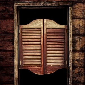Back Door - Kaleo