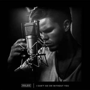 I Can't Go On Without You - KALEO