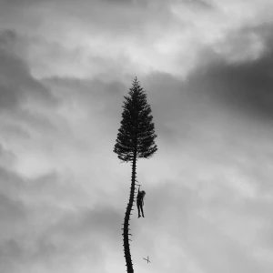 The Silence - Manchester Orchestra